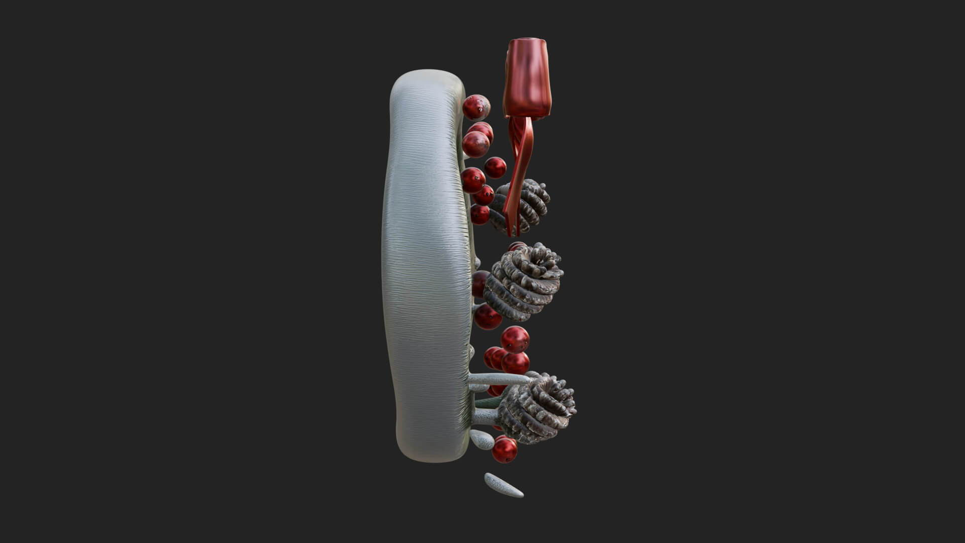 Pine Christmas Wreath Ornament Design 3 3D Print Model 3D Model