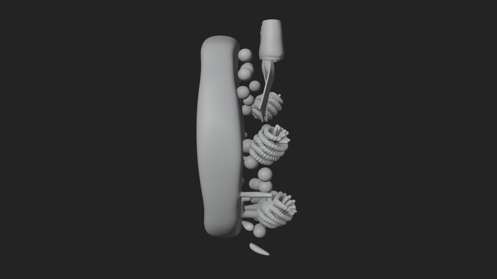 Pine Christmas Wreath Ornament Design 3 3D Print Model 3D Model