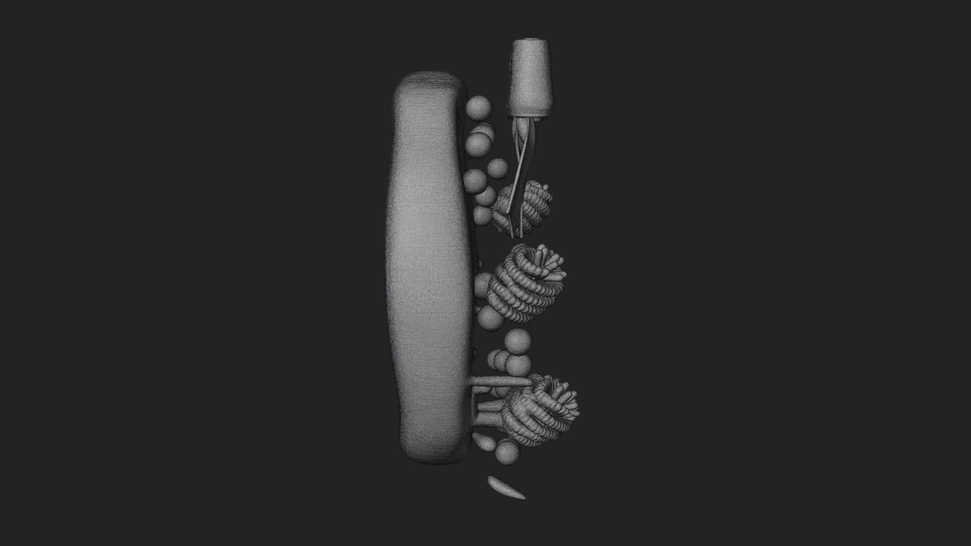 Pine Christmas Wreath Ornament Design 3 3D Print Model 3D Model