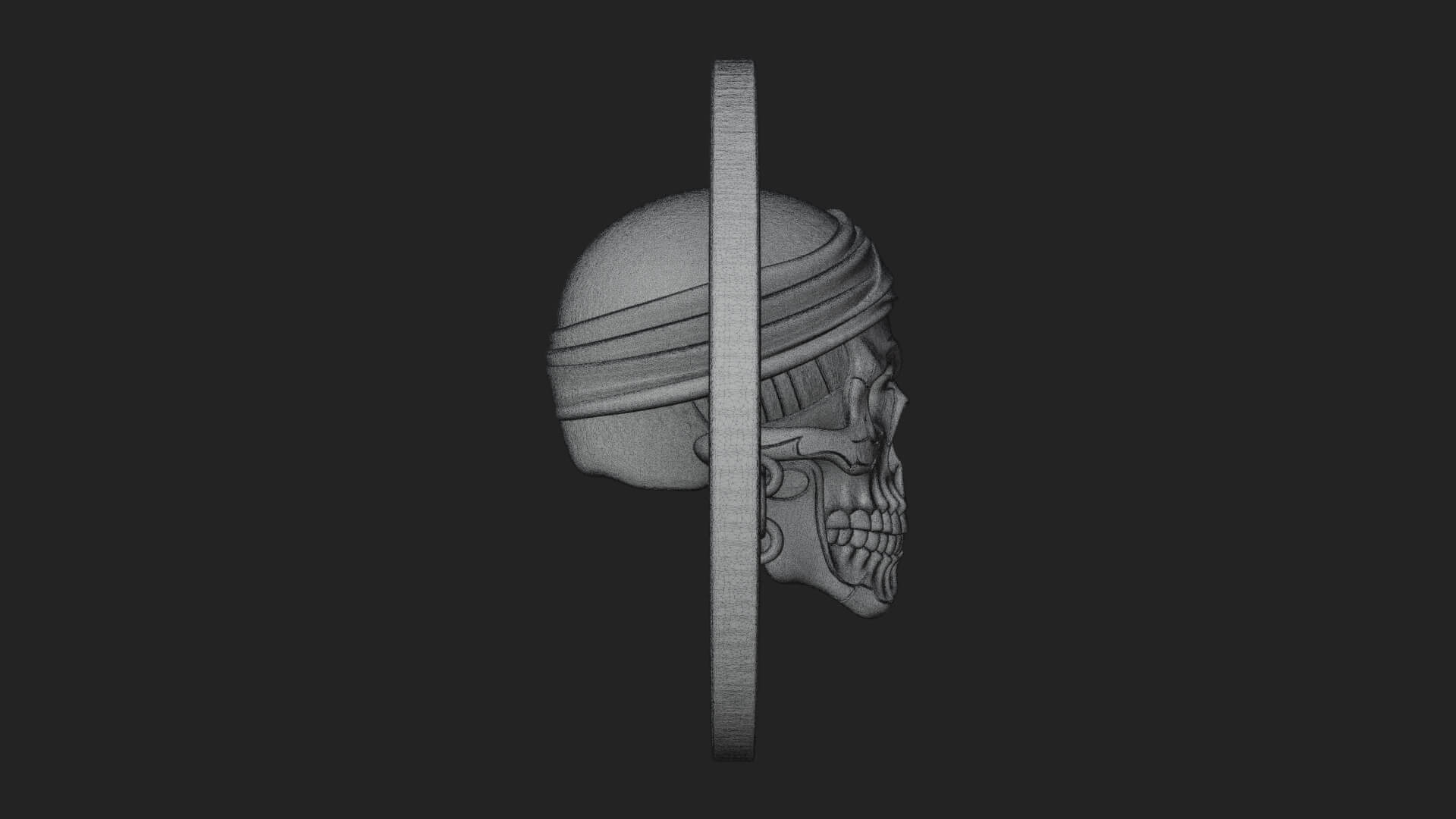 Pirate Skull Oval Relief Plaque Design 1 3D Print Model 3D Model