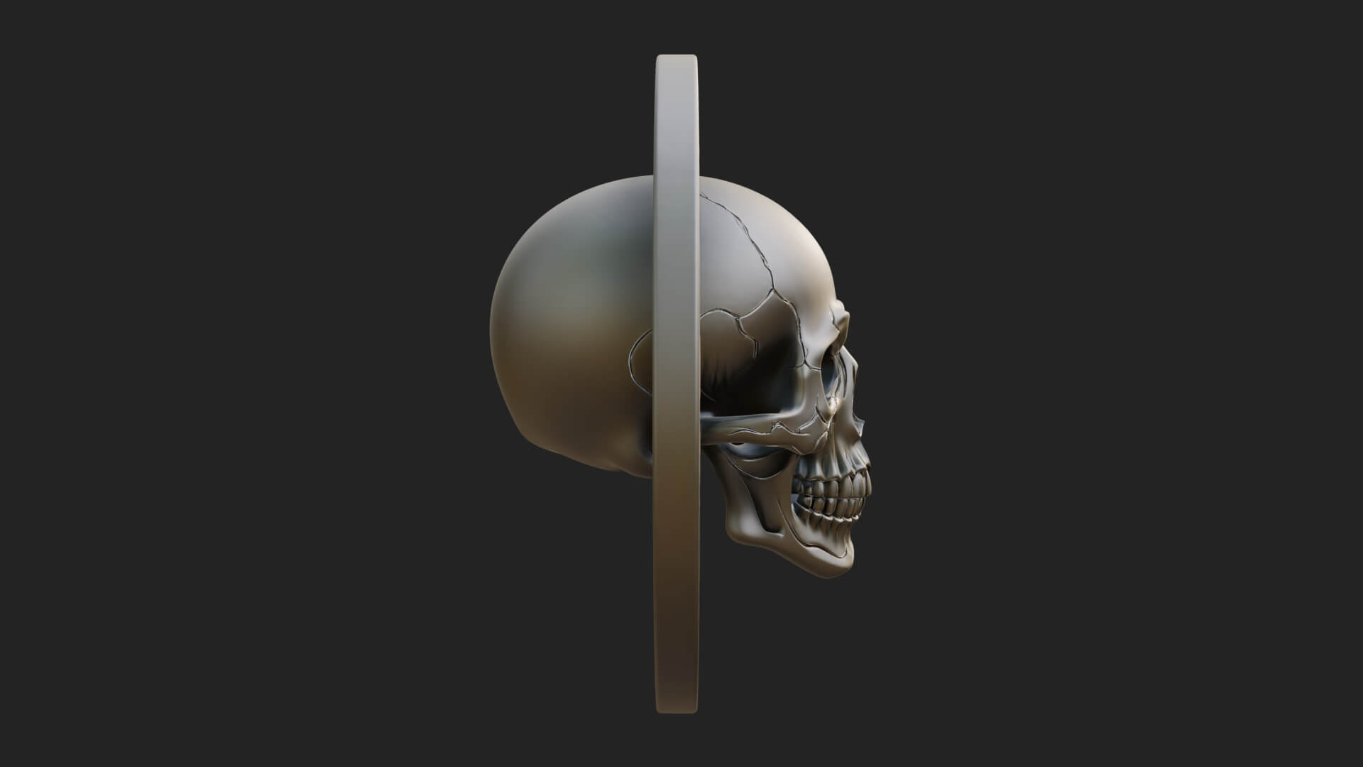 Plain Skull Oval Relief Plaque Design 1 3D Print Model 3D Model