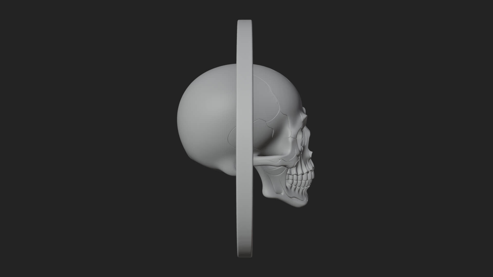 Plain Skull Oval Relief Plaque Design 1 3D Print Model 3D Model