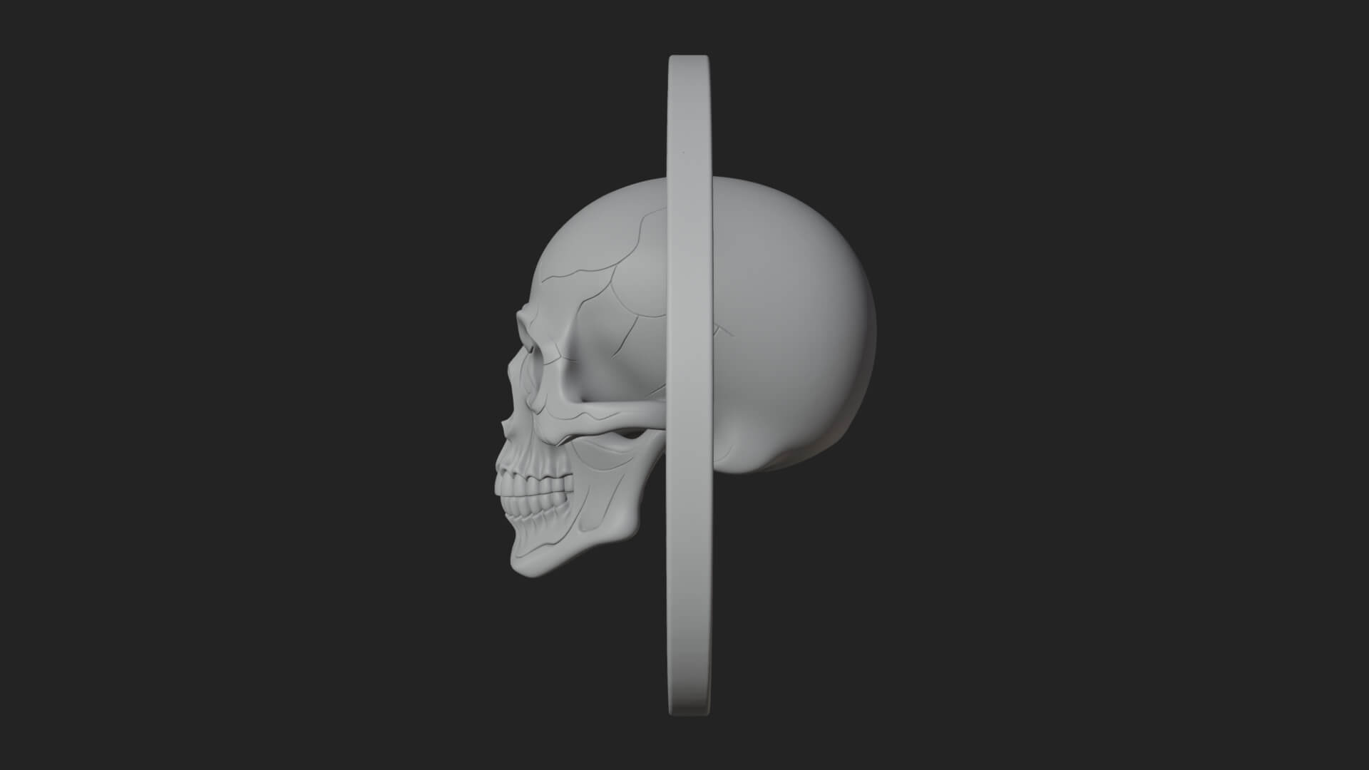 Plain Skull Oval Relief Plaque Design 1 3D Print Model 3D Model