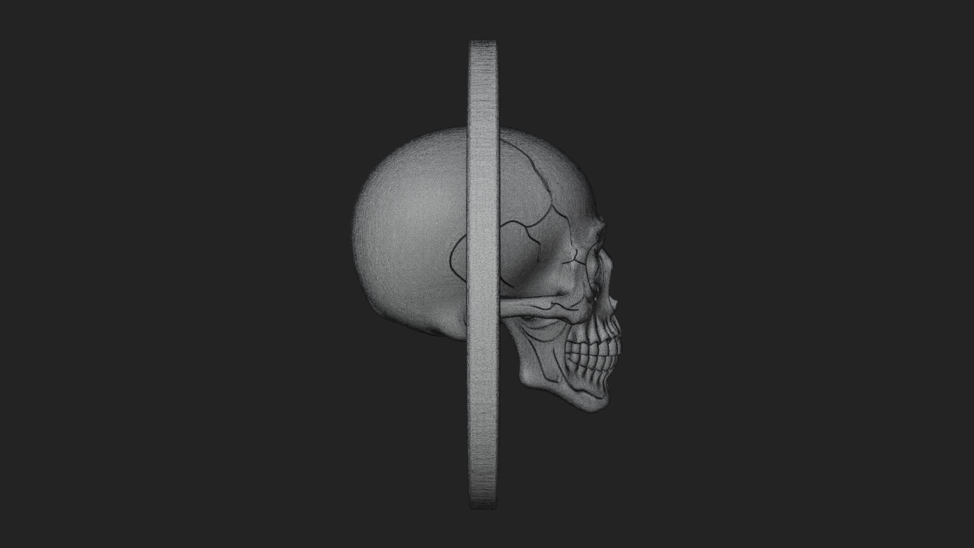Plain Skull Oval Relief Plaque Design 1 3D Print Model 3D Model