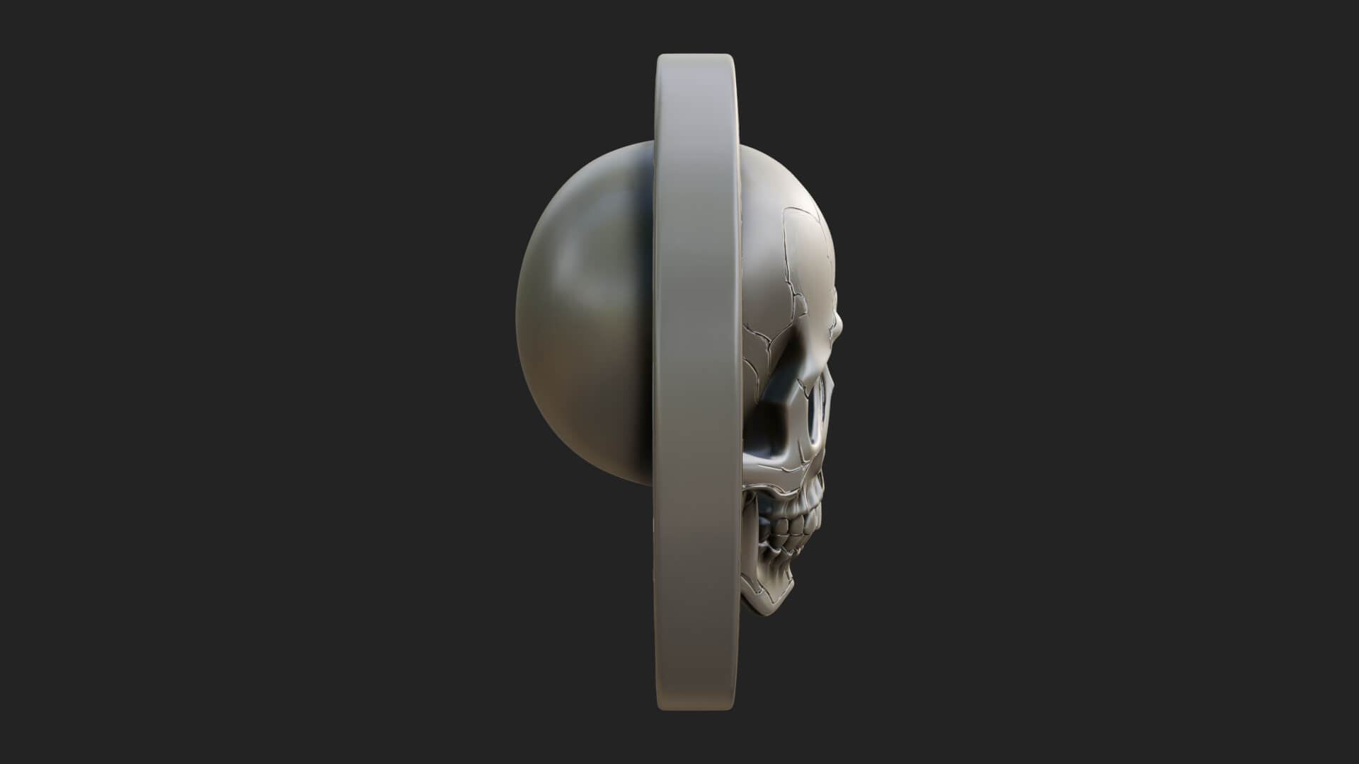 Plain Skull Oval Relief Plaque Design 2 3D Print Model 3D Model