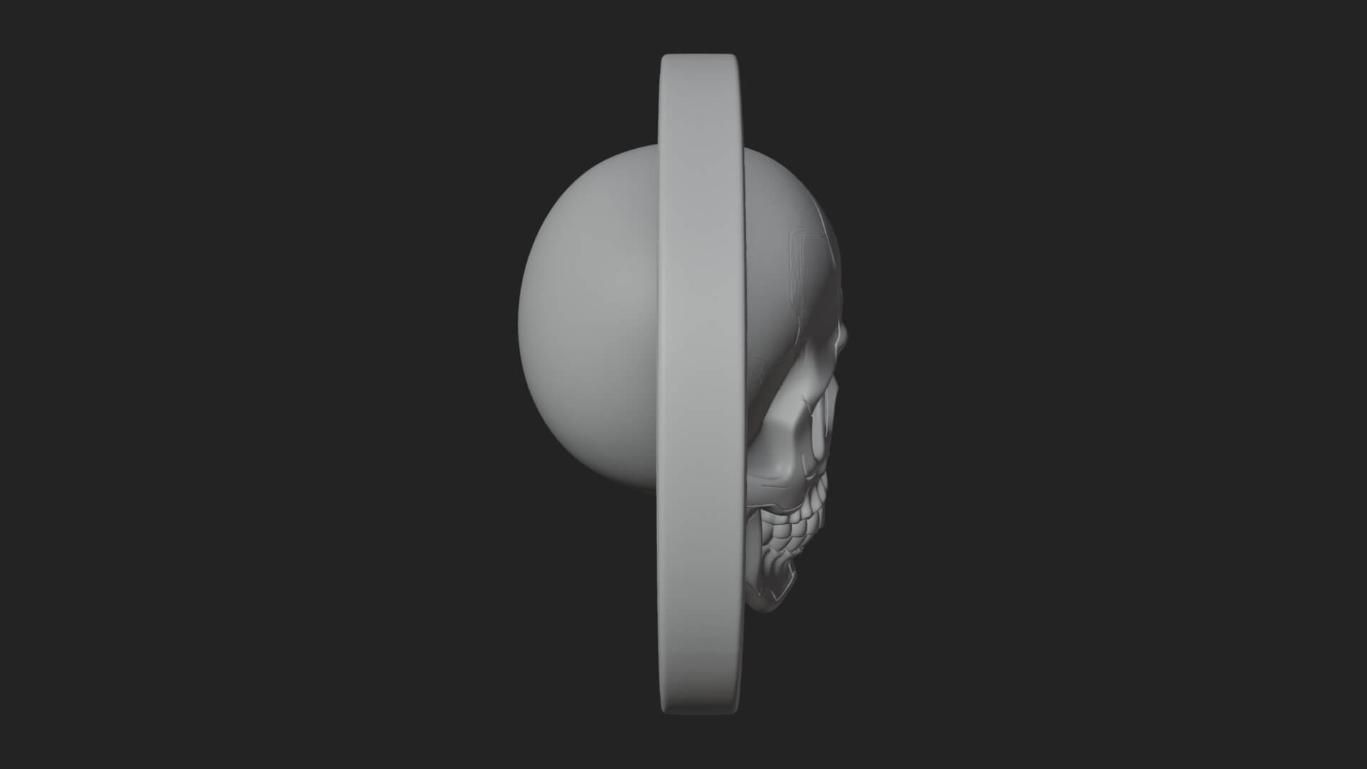 Plain Skull Oval Relief Plaque Design 2 3D Print Model 3D Model