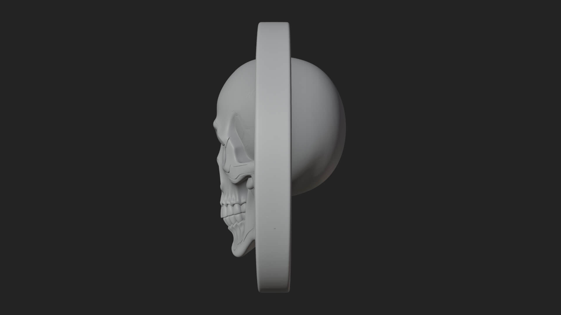 Plain Skull Oval Relief Plaque Design 2 3D Print Model 3D Model
