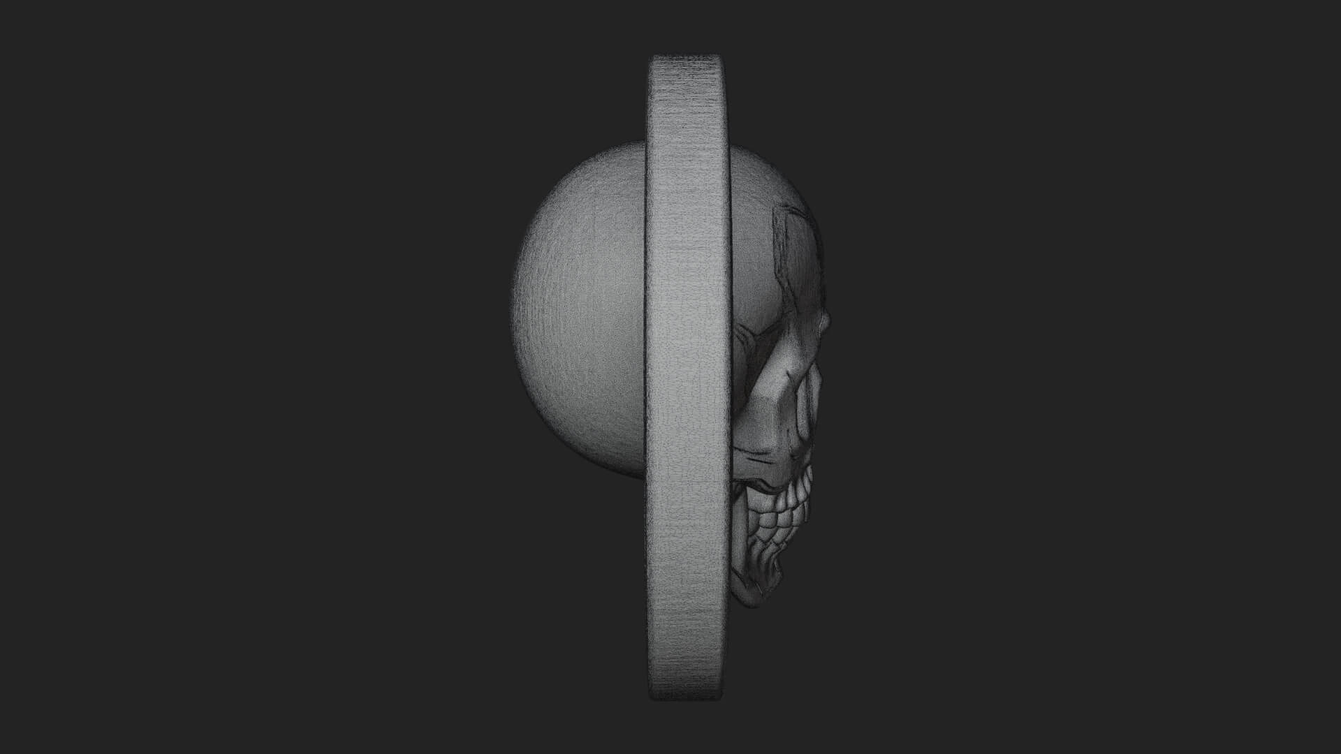 Plain Skull Oval Relief Plaque Design 2 3D Print Model 3D Model