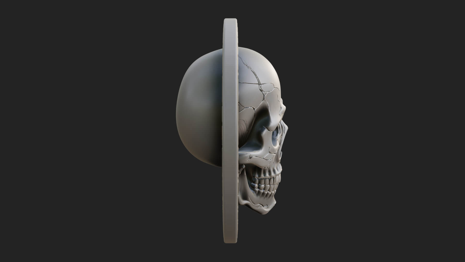 Plain Skull Oval Relief Plaque Design 3 3D Print Model 3D Model