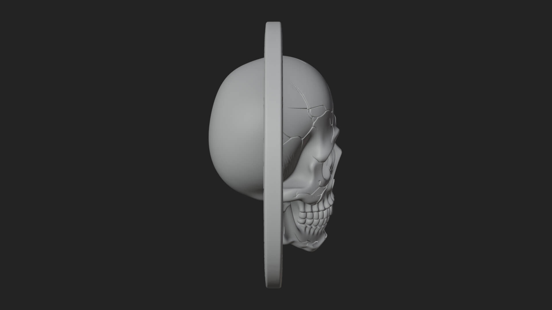 Plain Skull Oval Relief Plaque Design 3 3D Print Model 3D Model