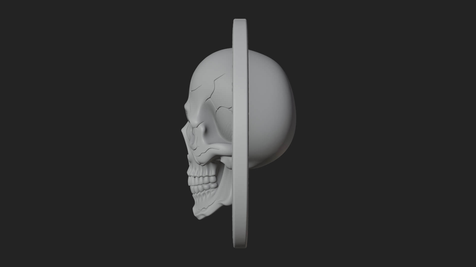 Plain Skull Oval Relief Plaque Design 3 3D Print Model 3D Model