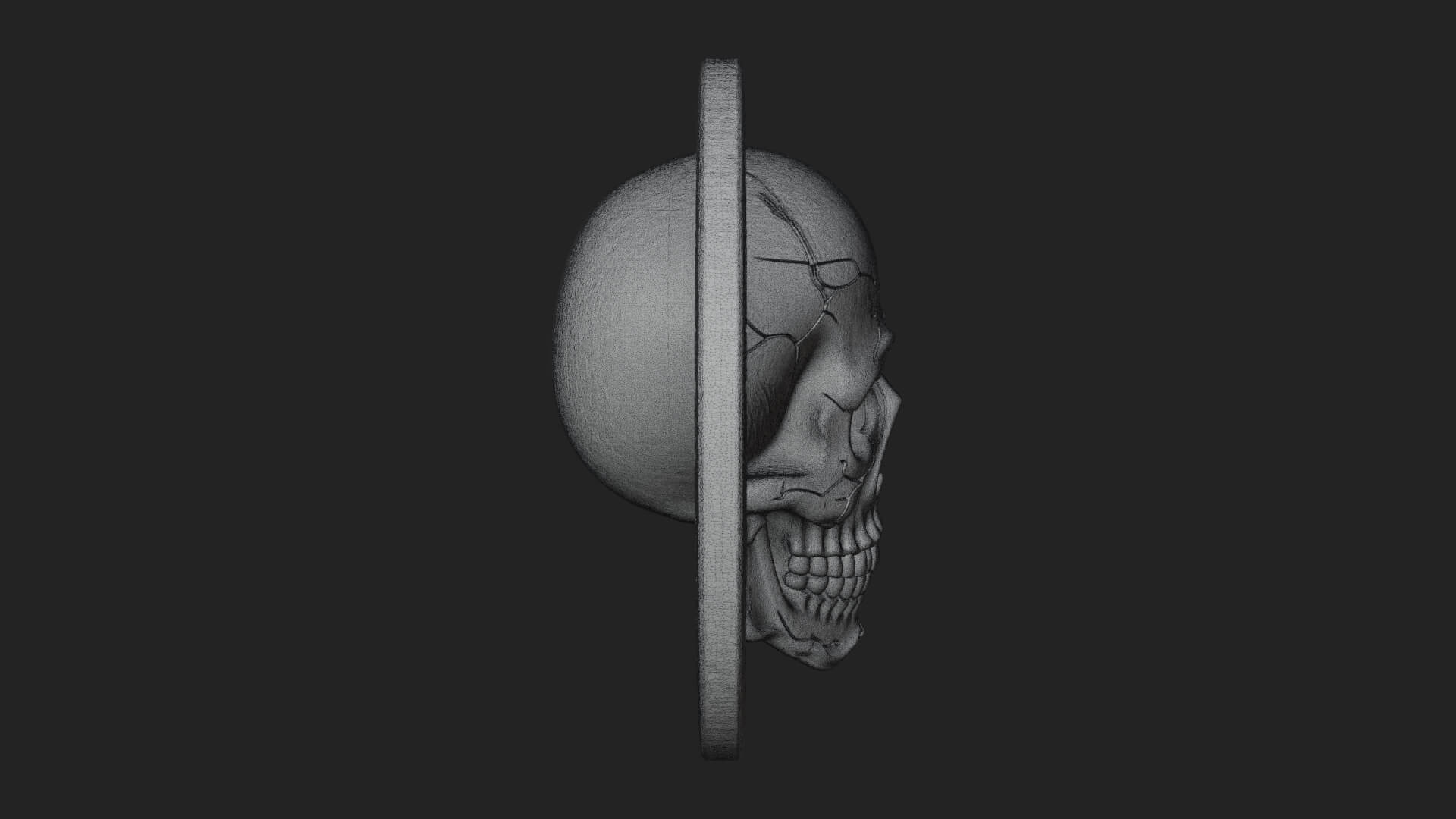 Plain Skull Oval Relief Plaque Design 3 3D Print Model 3D Model