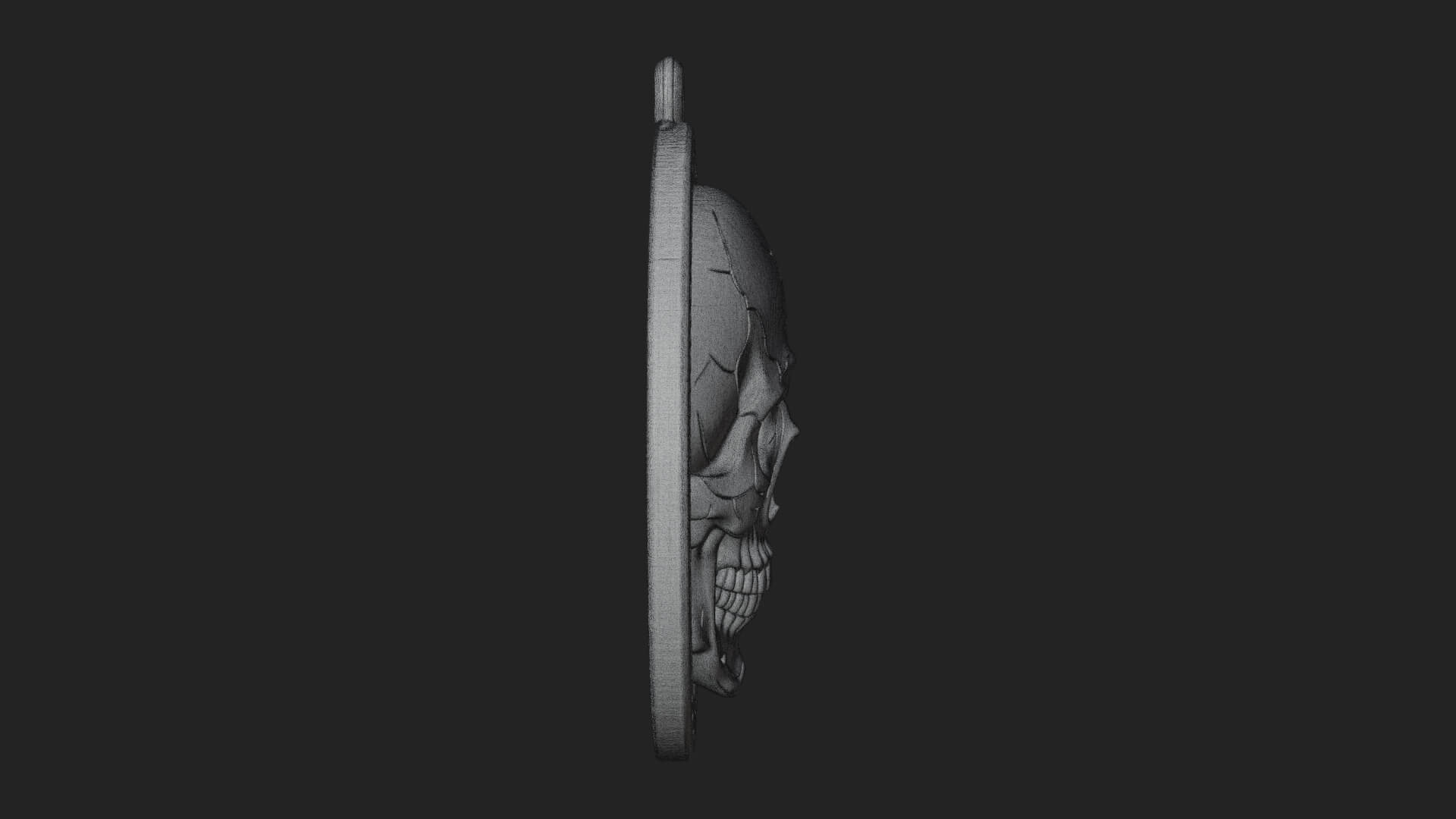 Plain Skull Oval Relief Plaque Design 4 3D Print Model 3D Model