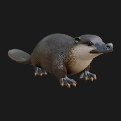 Platypus Statue Design 1 3D Print Model