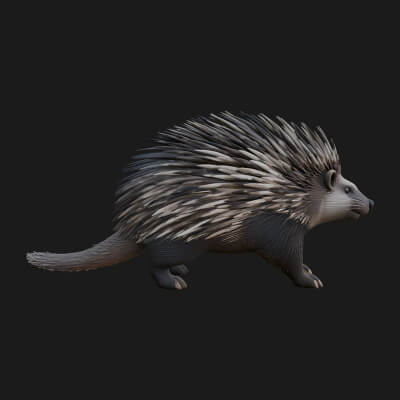 Porcupine Statue Design 7 3D Print Model