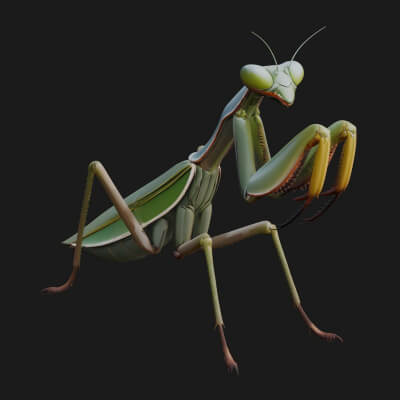 Praying Mantis Statue Design 11 3D Print Model