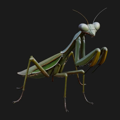 Praying Mantis Statue Design 6 3D Print Model