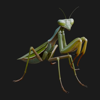 Praying Mantis Statue Design 7 3D Print Model