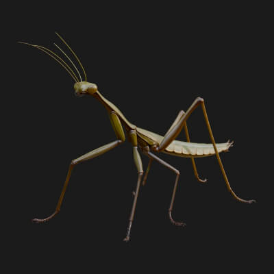 Praying Mantis Statue Design 8 3D Print Model
