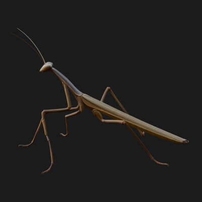 Praying Mantis Statue Design 9 3D Print Model