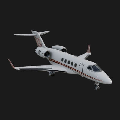 Private Jet Model Design 10 3D Print Model