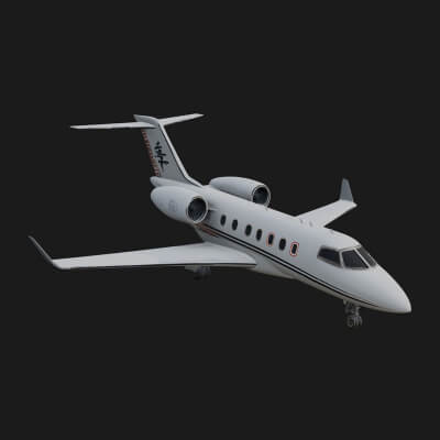 Private Jet Model Design 6 3D Print Model