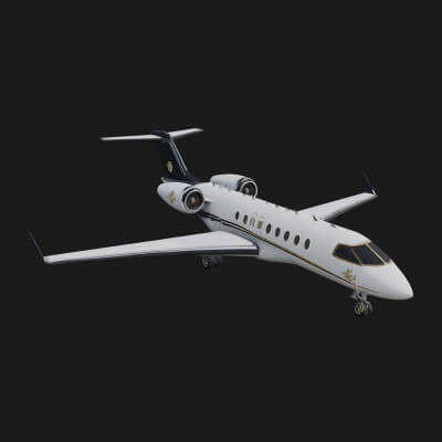 Private Jet Model Design 8 3D Print Model