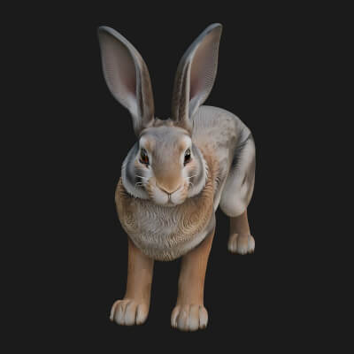 Rabbit Statue Design 13 3d Print Model