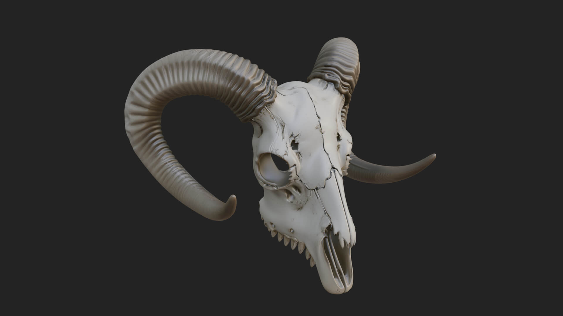 Ram Skull Wall Mount Design 10 3D Print Model 3D Model