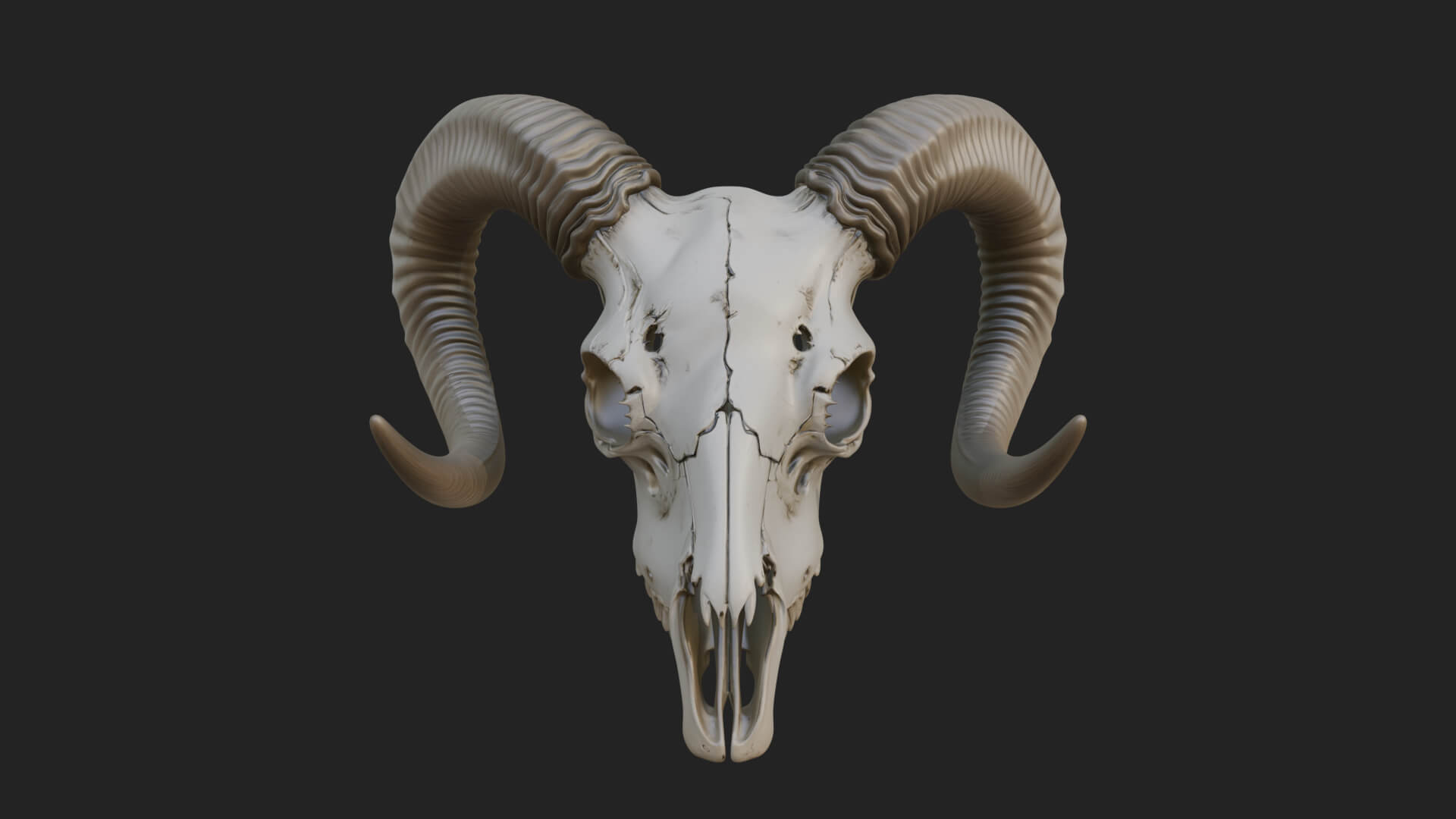 Ram Skull Wall Mount Design 10 3D Print Model 3D Model