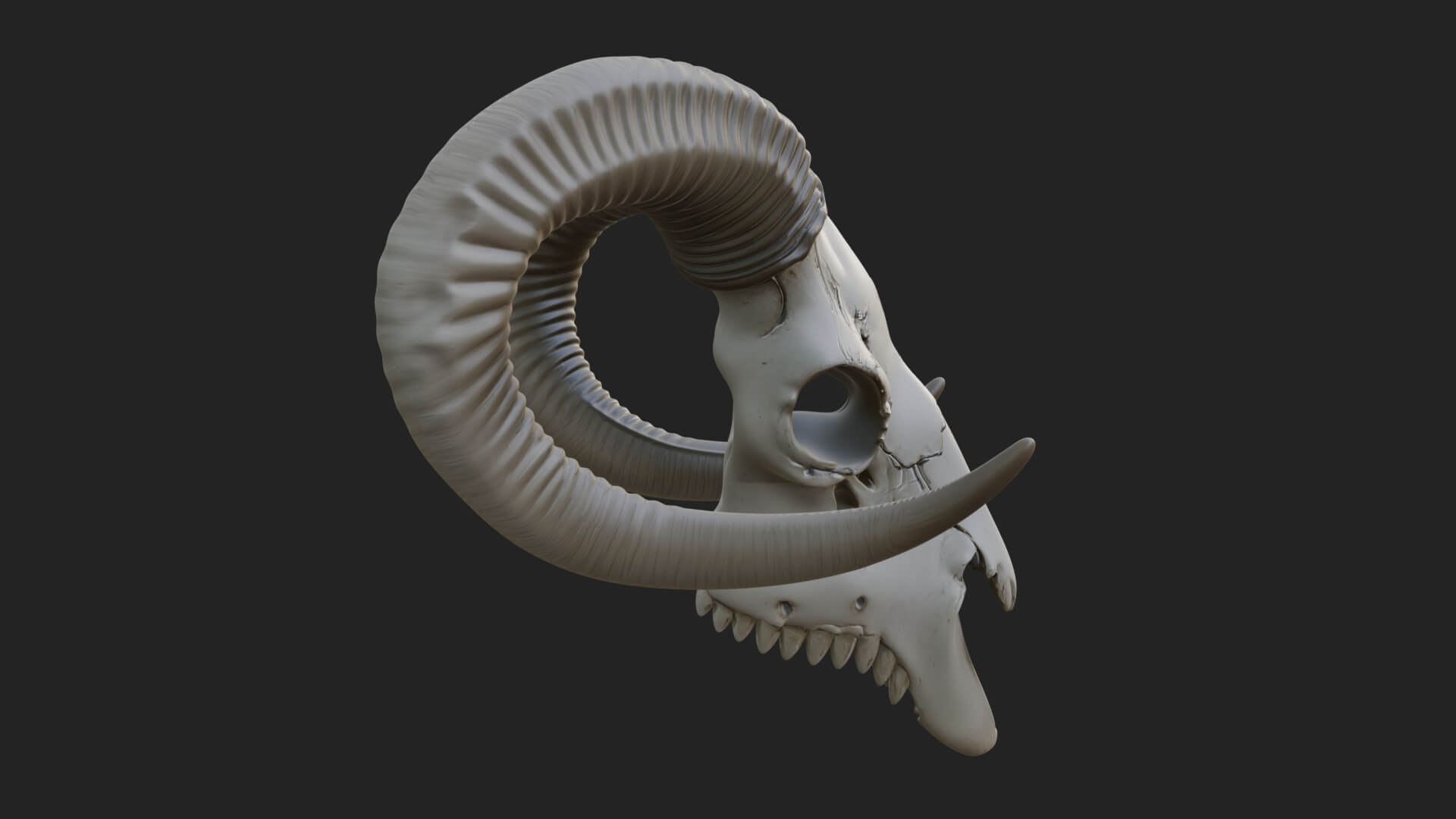 Ram Skull Wall Mount Design 10 3D Print Model 3D Model