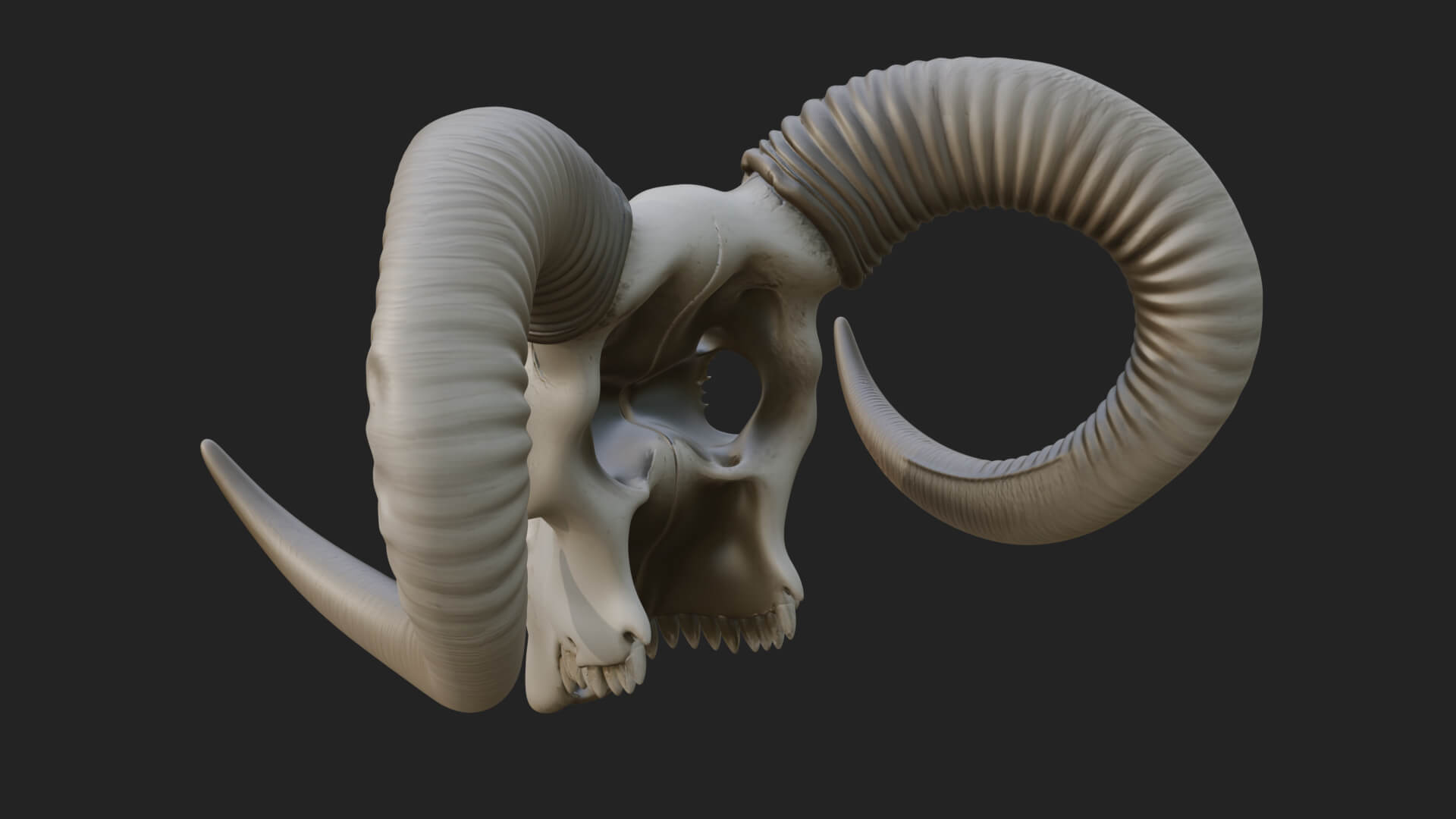 Ram Skull Wall Mount Design 10 3D Print Model 3D Model