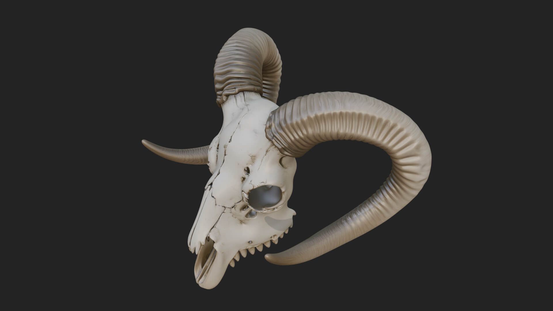 Ram Skull Wall Mount Design 10 3D Print Model 3D Model