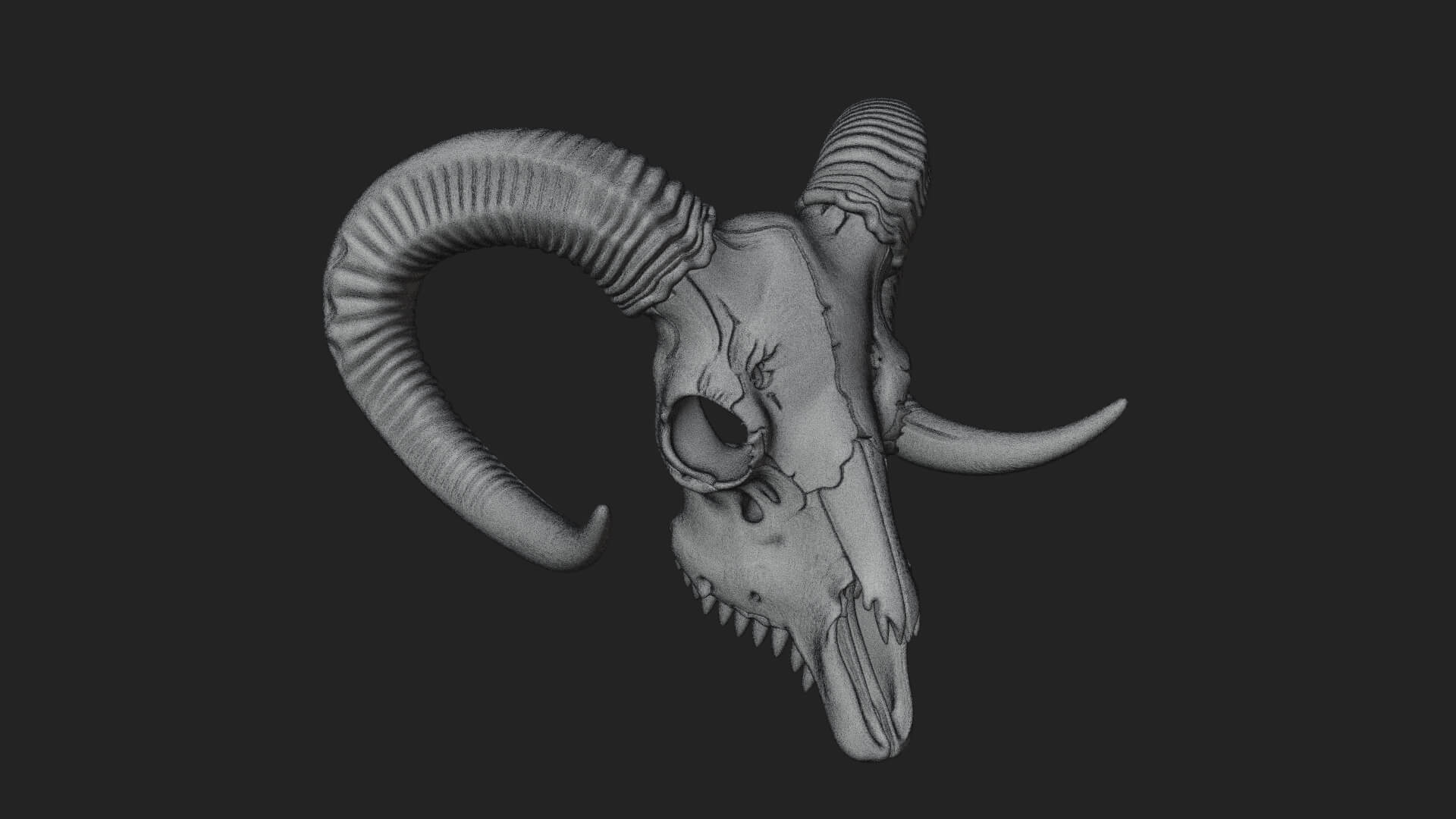 Ram Skull Wall Mount Design 10 3D Print Model 3D Model