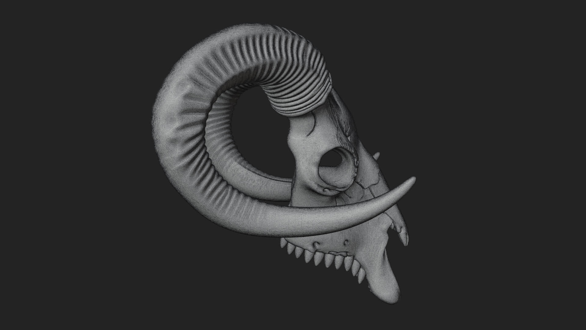 Ram Skull Wall Mount Design 10 3D Print Model 3D Model