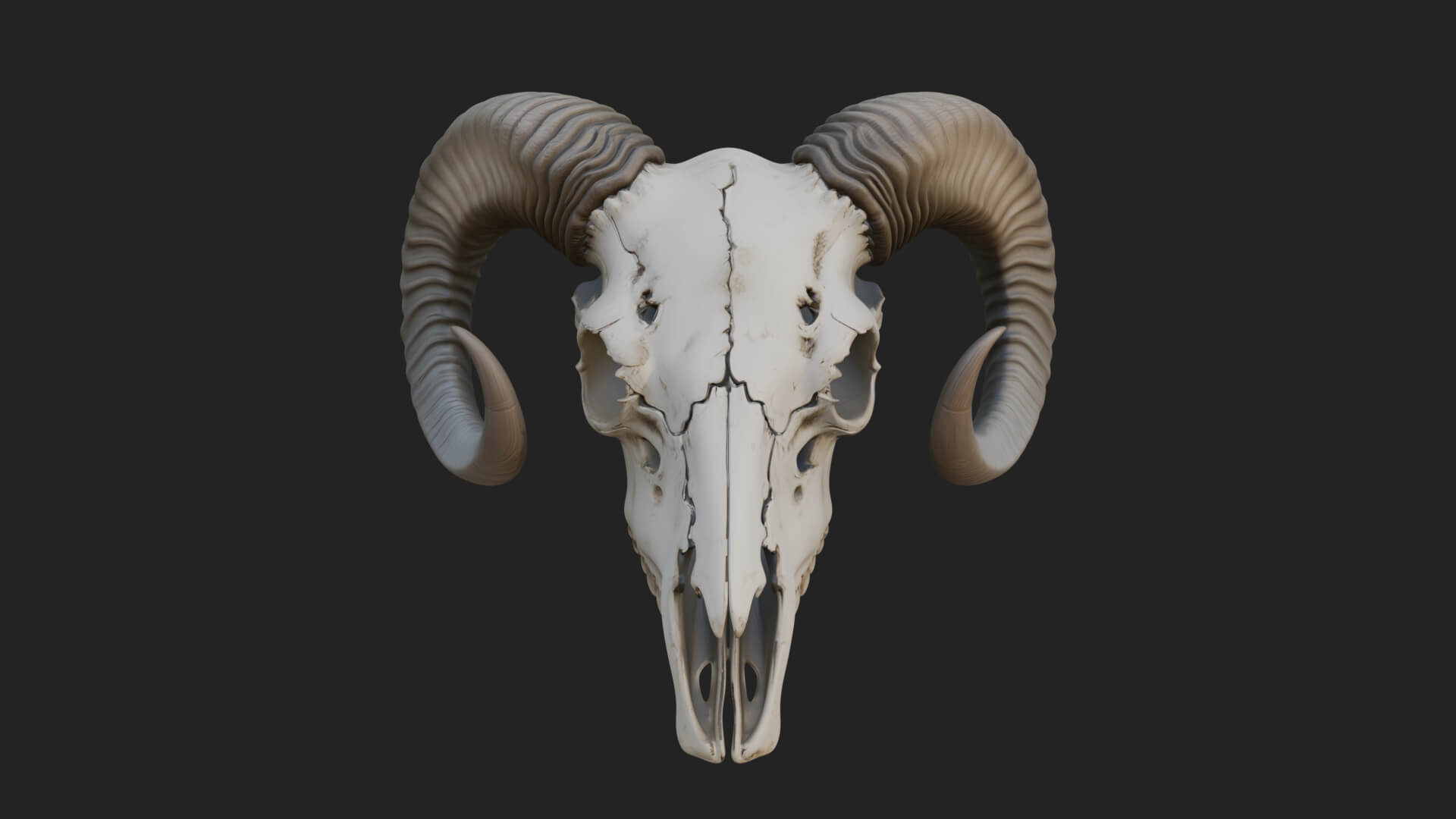 Ram Skull Wall Mount Design 11 3D Print Model 3D Model