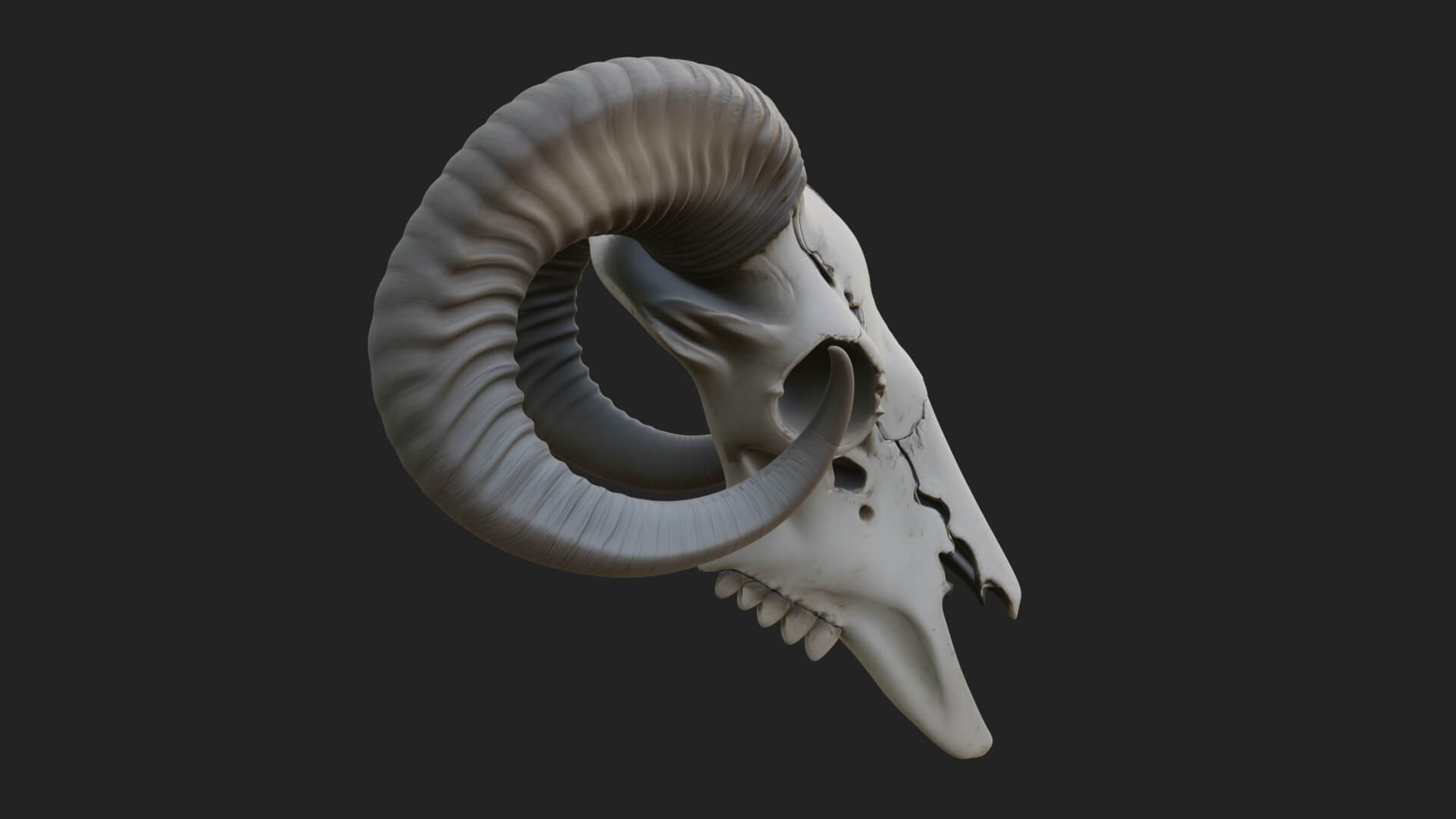 Ram Skull Wall Mount Design 11 3D Print Model 3D Model
