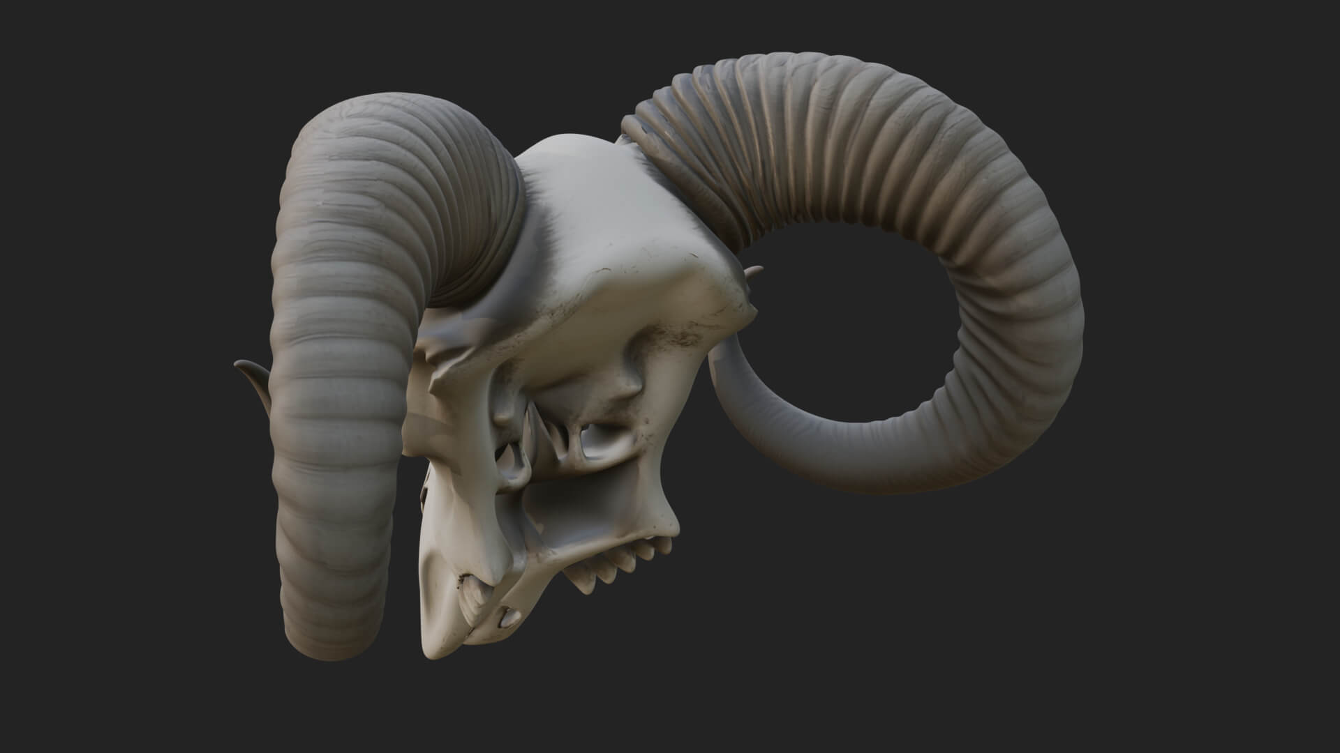 Ram Skull Wall Mount Design 11 3D Print Model 3D Model