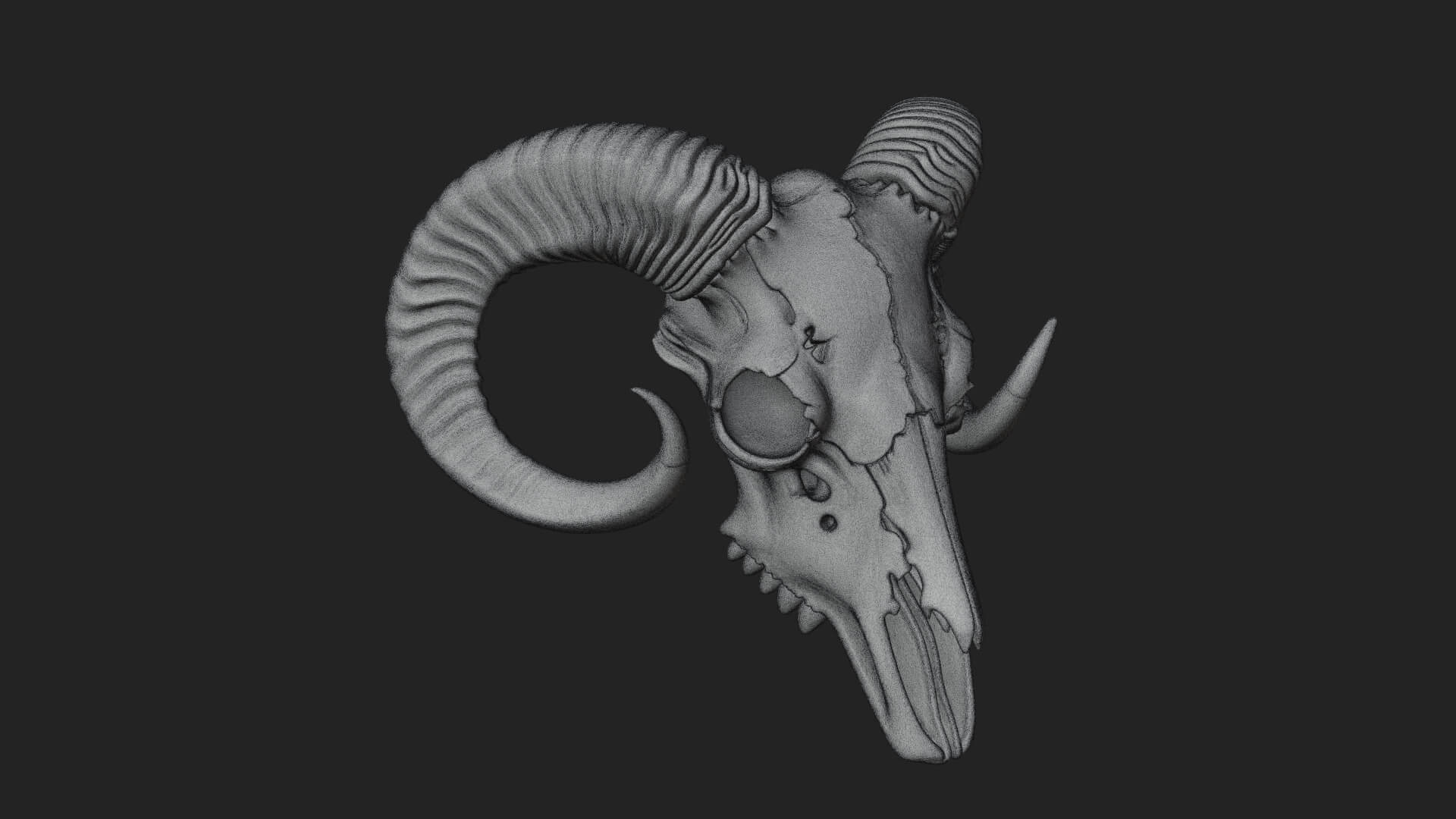 Ram Skull Wall Mount Design 11 3D Print Model 3D Model