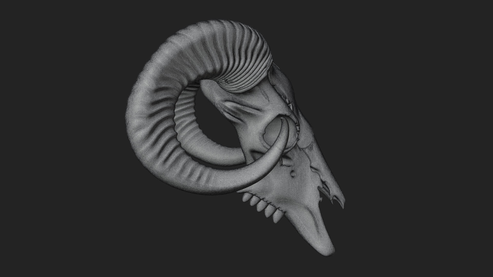 Ram Skull Wall Mount Design 11 3D Print Model 3D Model