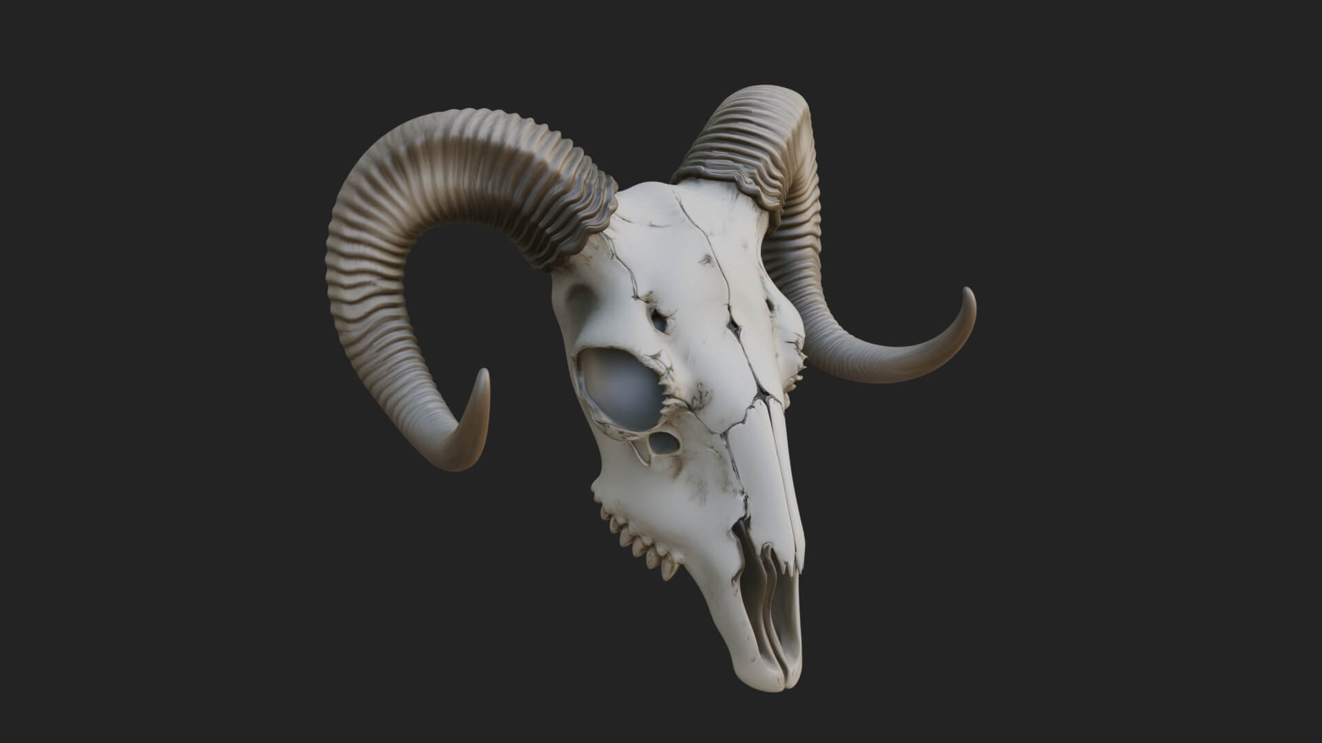 Ram Skull Wall Mount Design 12 3D Print Model 3D Model