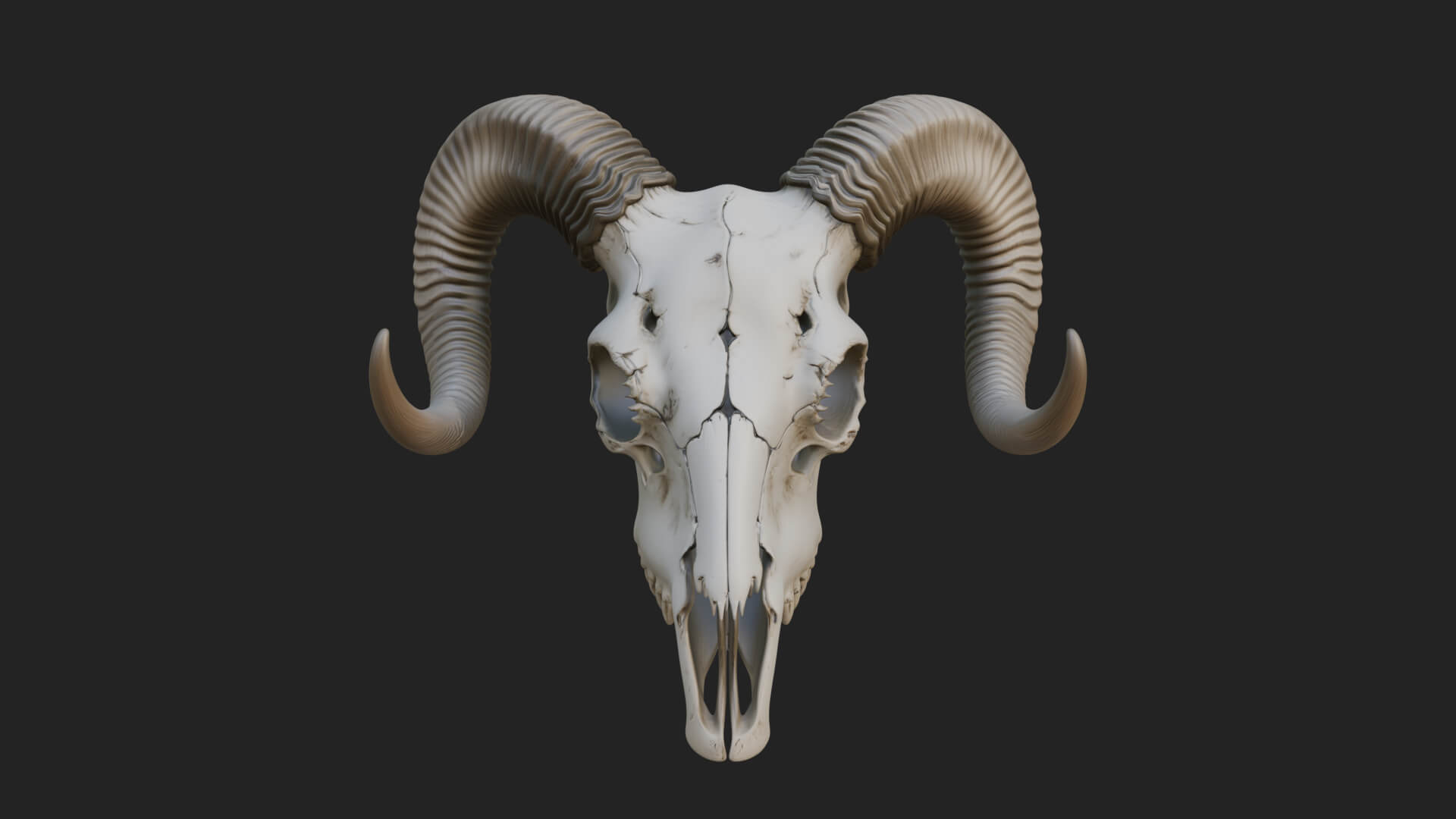 Ram Skull Wall Mount Design 12 3D Print Model 3D Model
