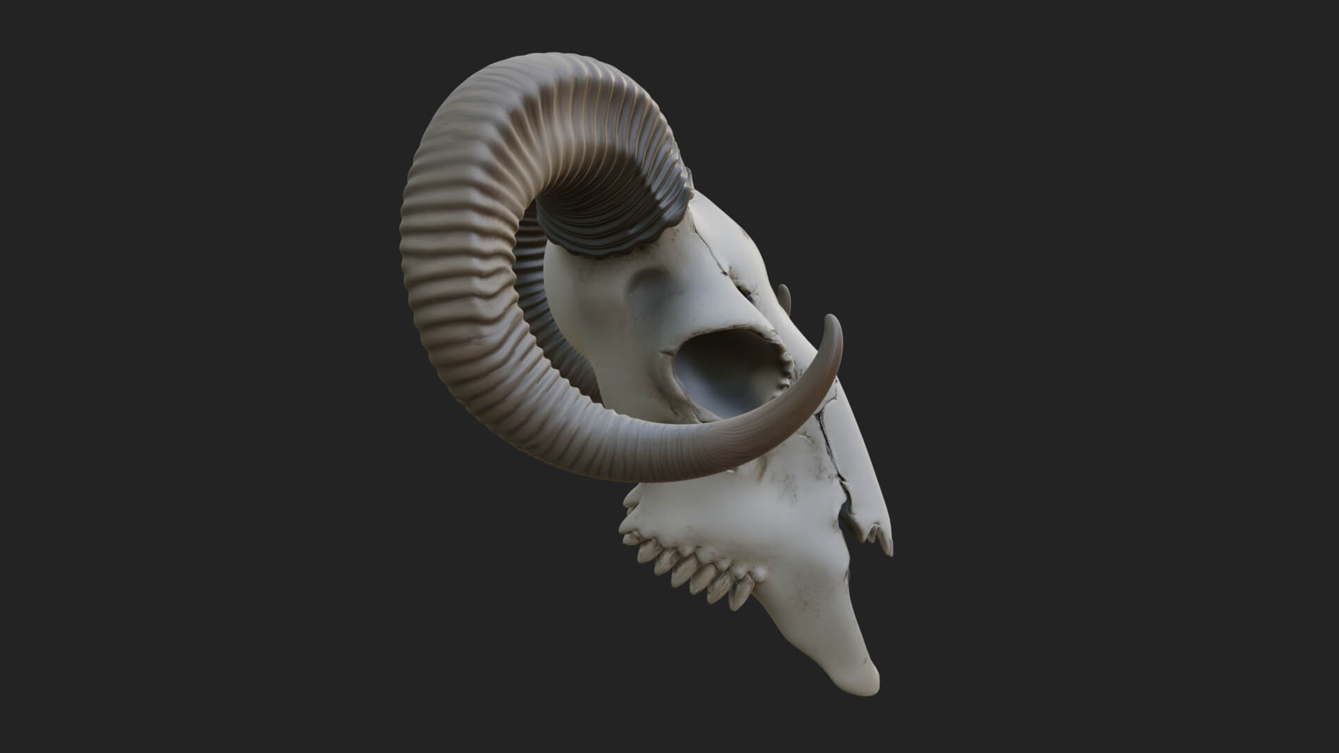 Ram Skull Wall Mount Design 12 3D Print Model 3D Model