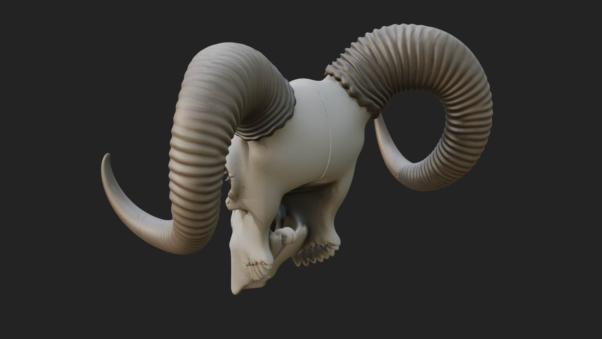 Ram Skull Wall Mount Design 12 3D Print Model 3D Model