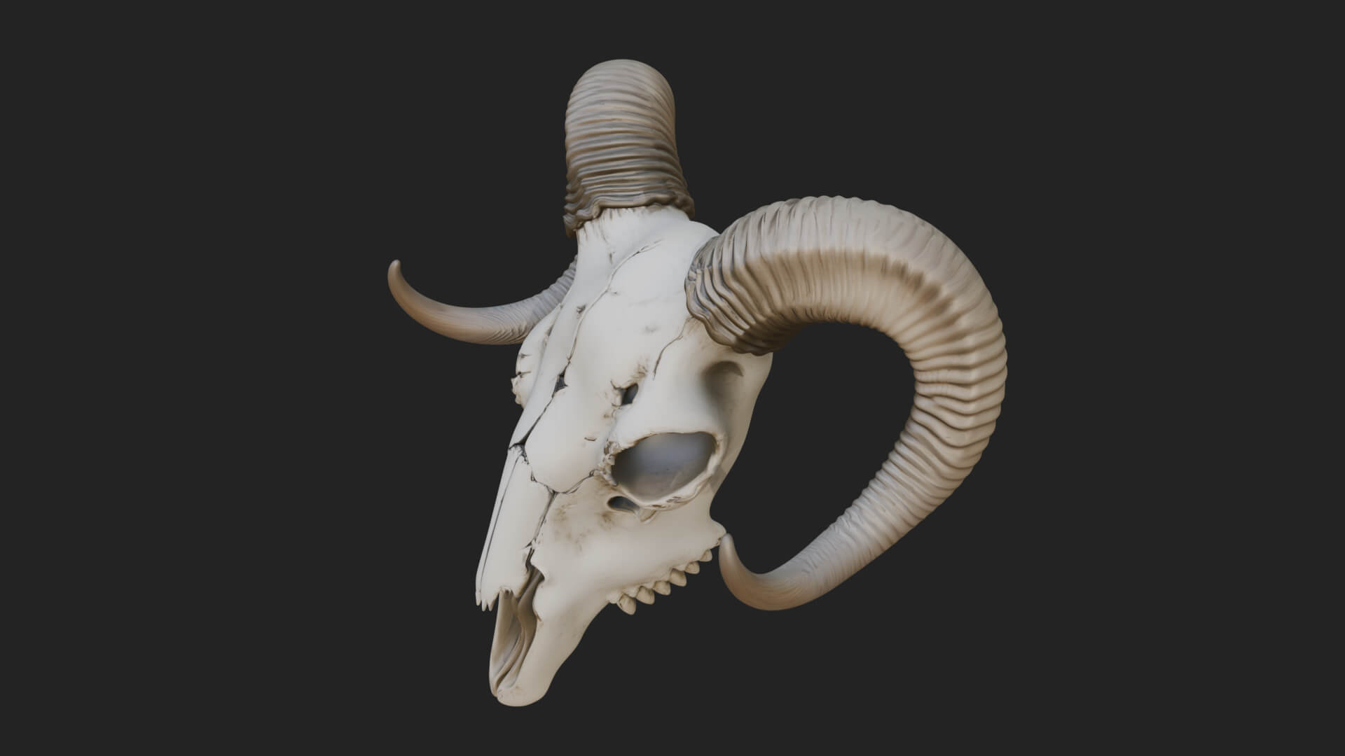 Ram Skull Wall Mount Design 12 3D Print Model 3D Model