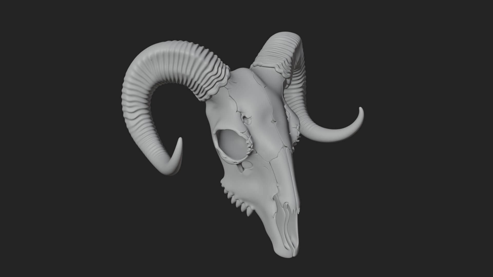 Ram Skull Wall Mount Design 12 3D Print Model 3D Model