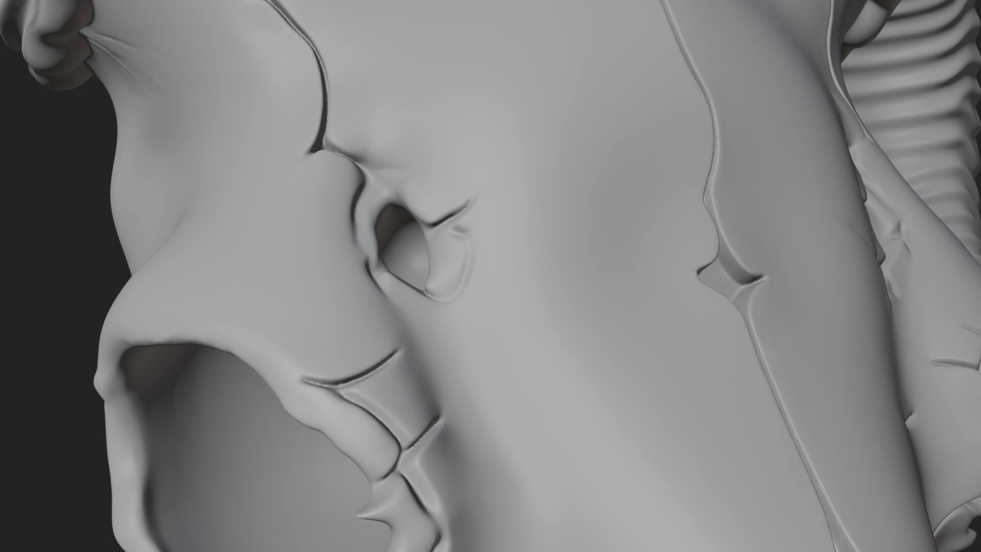 Ram Skull Wall Mount Design 12 3D Print Model 3D Model
