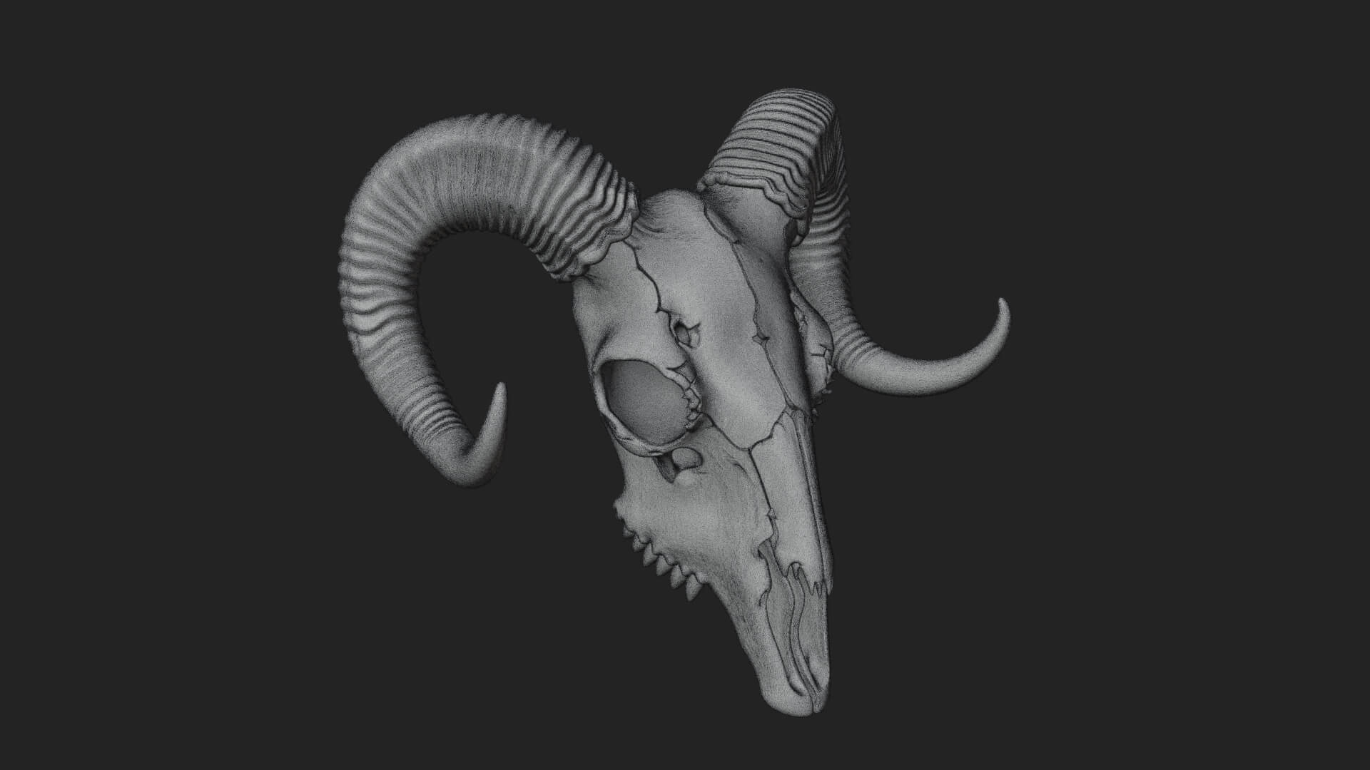 Ram Skull Wall Mount Design 12 3D Print Model 3D Model