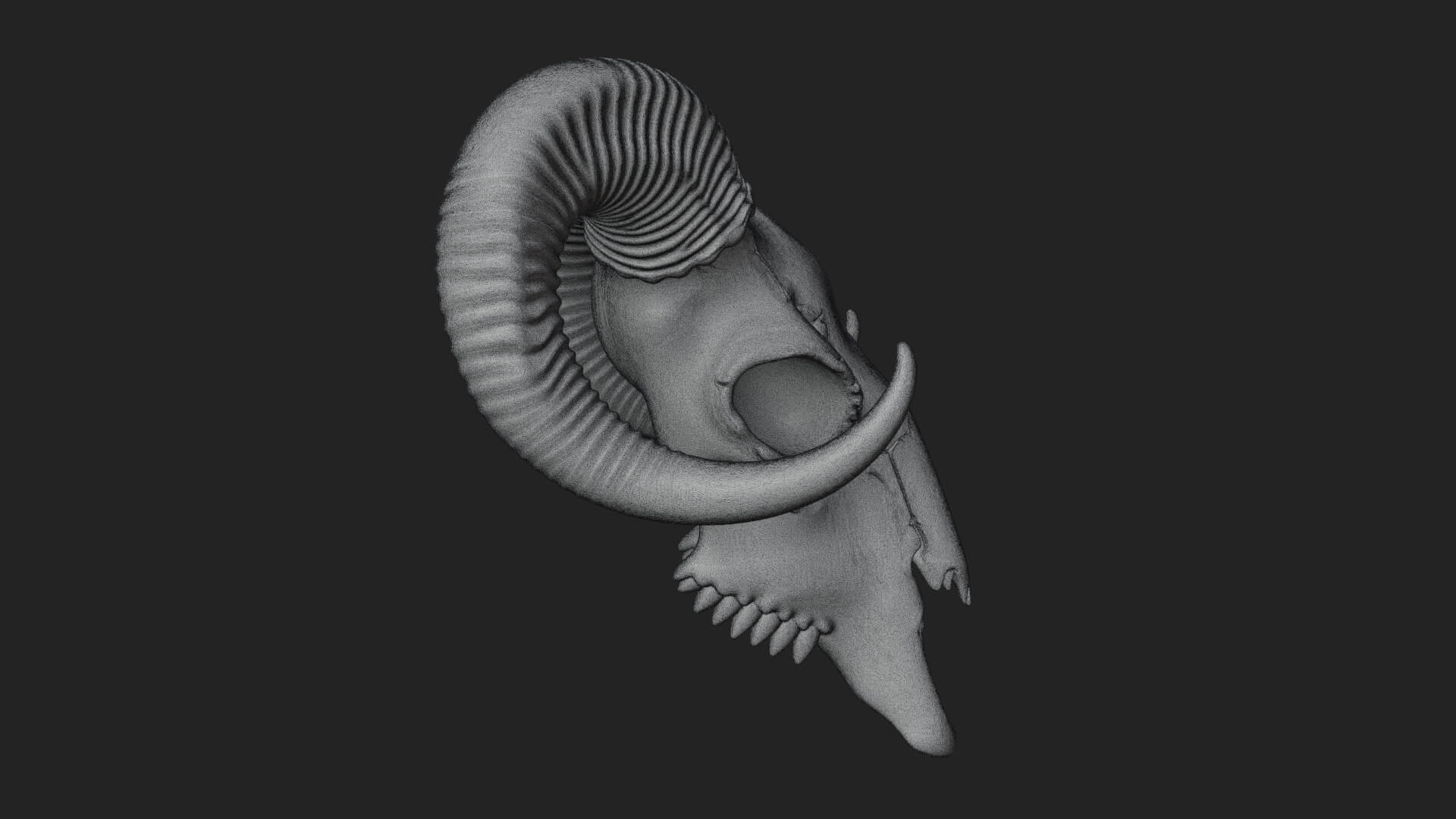 Ram Skull Wall Mount Design 12 3D Print Model 3D Model