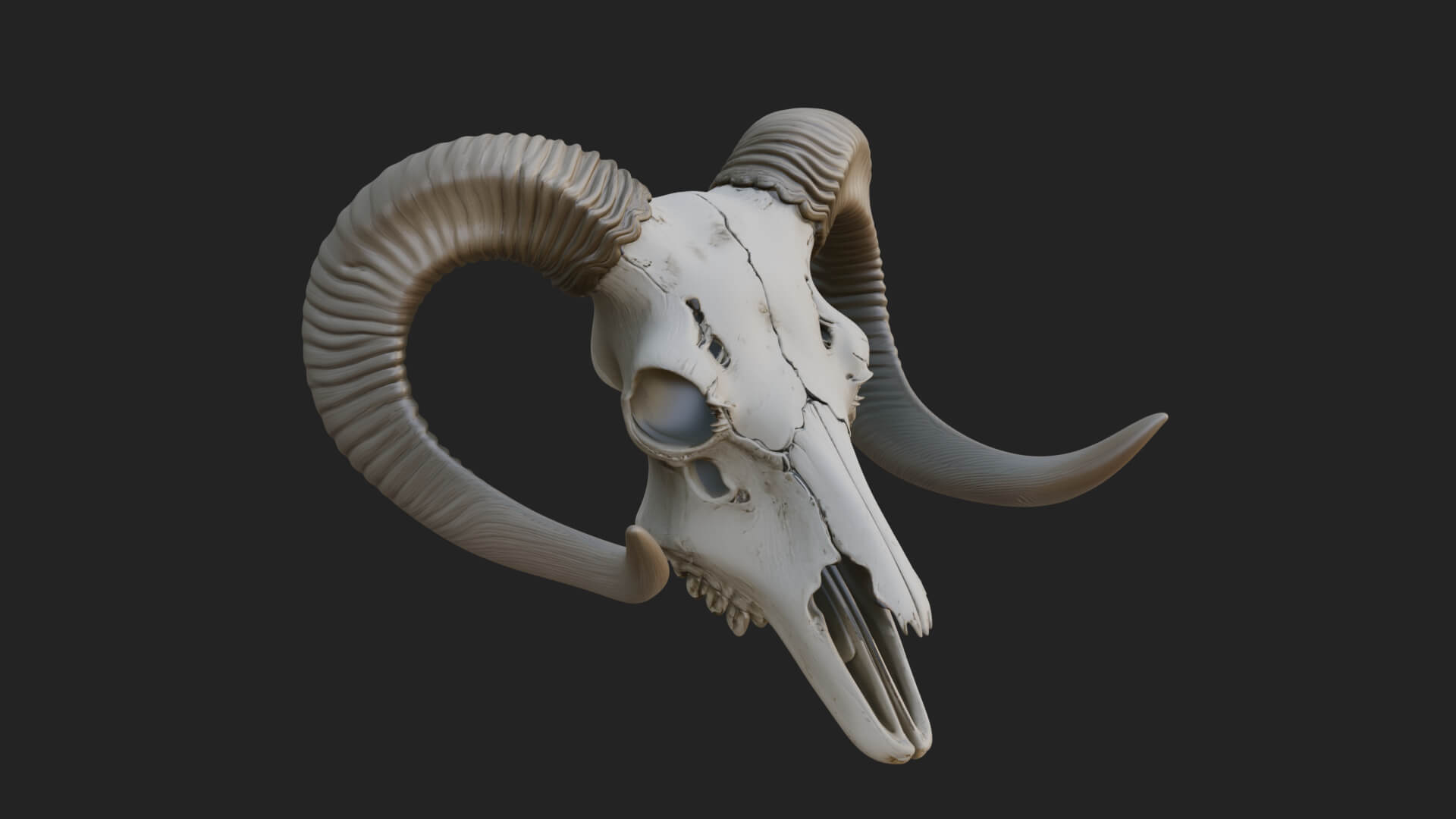 Ram Skull Wall Mount Design 9 3D Print Model 3D Model
